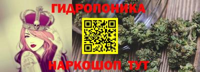наркотики Будённовск