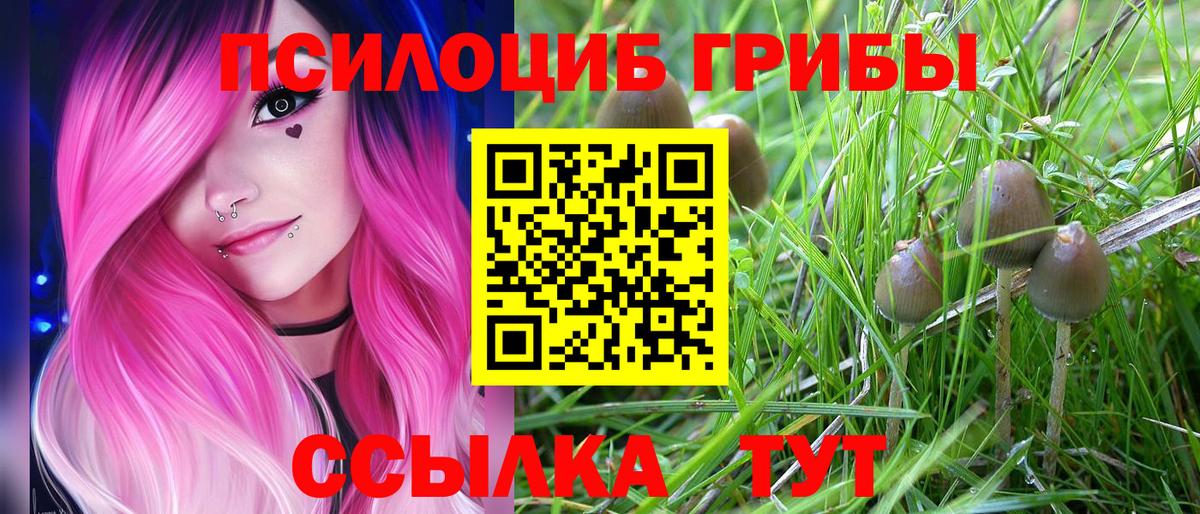 Галлюциногенные грибы GOLDEN TEACHER Менделеевск