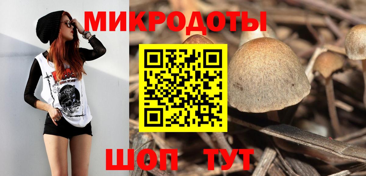 Менделеевск  Псилоцибиновые грибы мухоморы  продажа наркотиков  Вход с VPN 